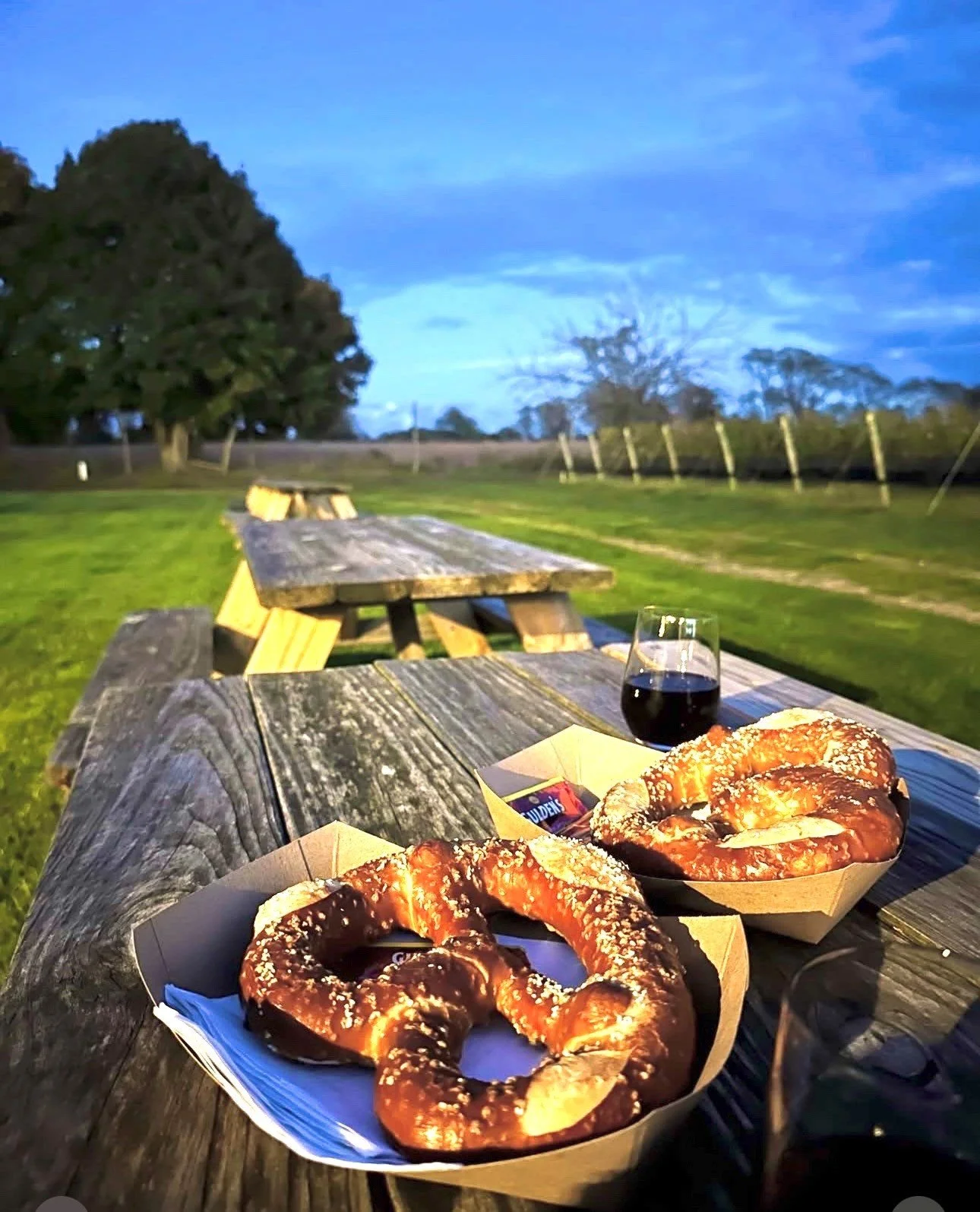 National Pretzel Day at Corey Creek