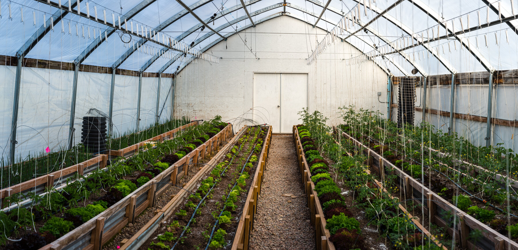 20210515_untitled-61-Pano.jpg