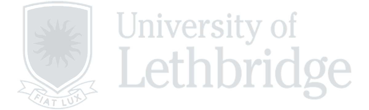 Lethbridge U 1200 360 gray .png