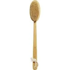 Body Brush