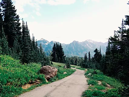 Audition Season &amp; The Oregon Trail 