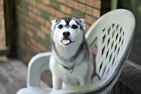 Slaying Vocal Vampires: Tired Voice Edition - Part I