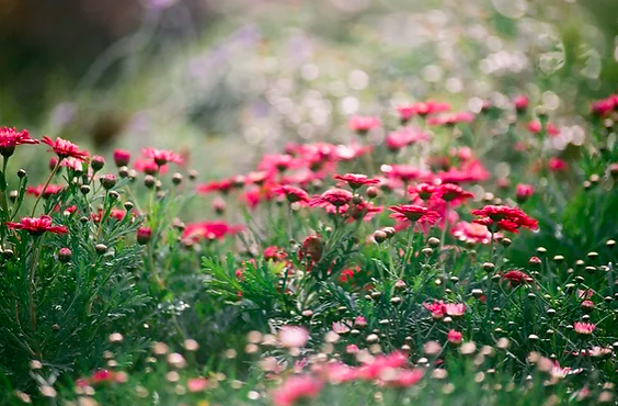 What if this is where you're meant to be?