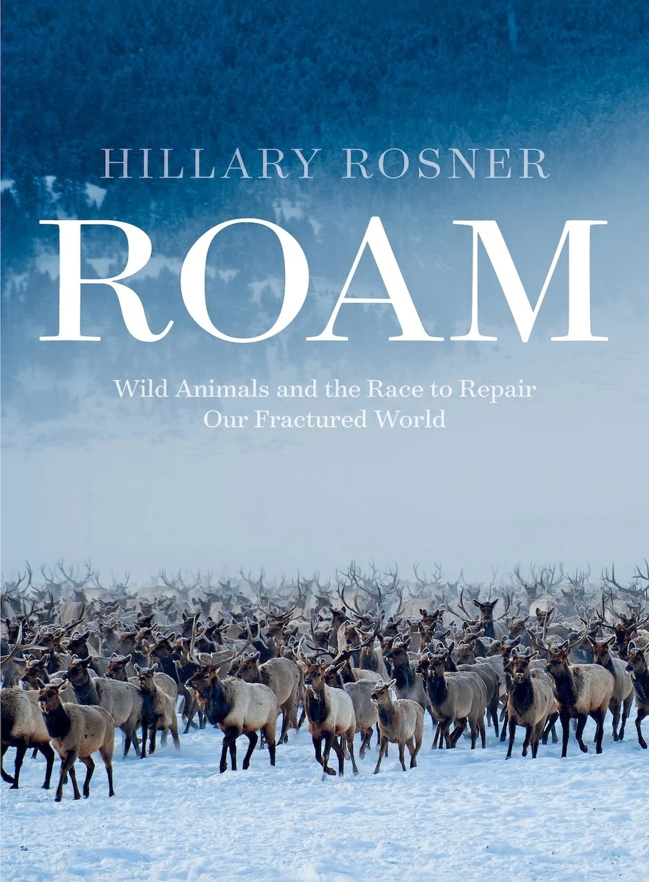 Roam by Hillary Rosner