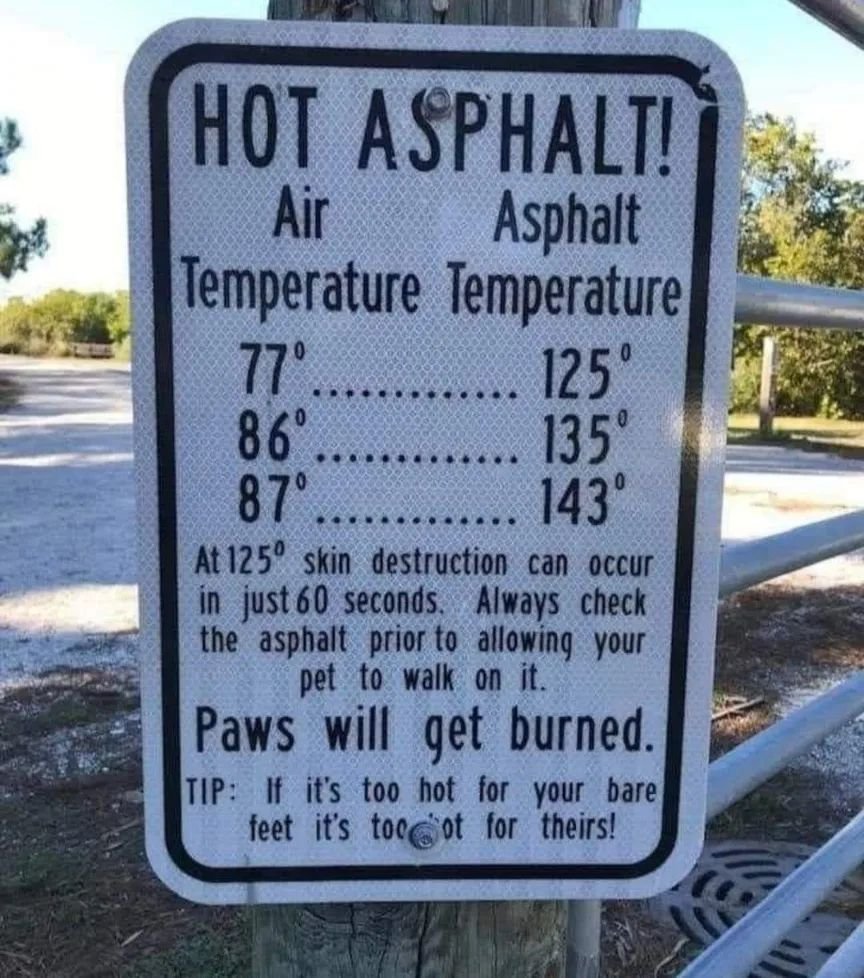 It&rsquo;s getting hot out there! Keep our fur babies safe ❤️
