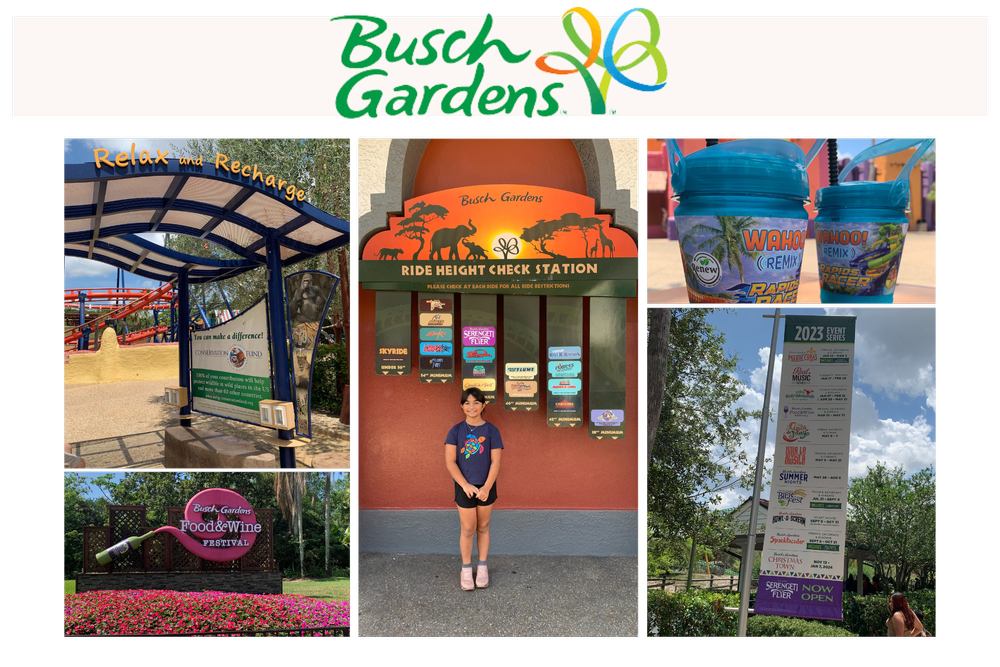 Fun at Busch Gardens — Supermoms
