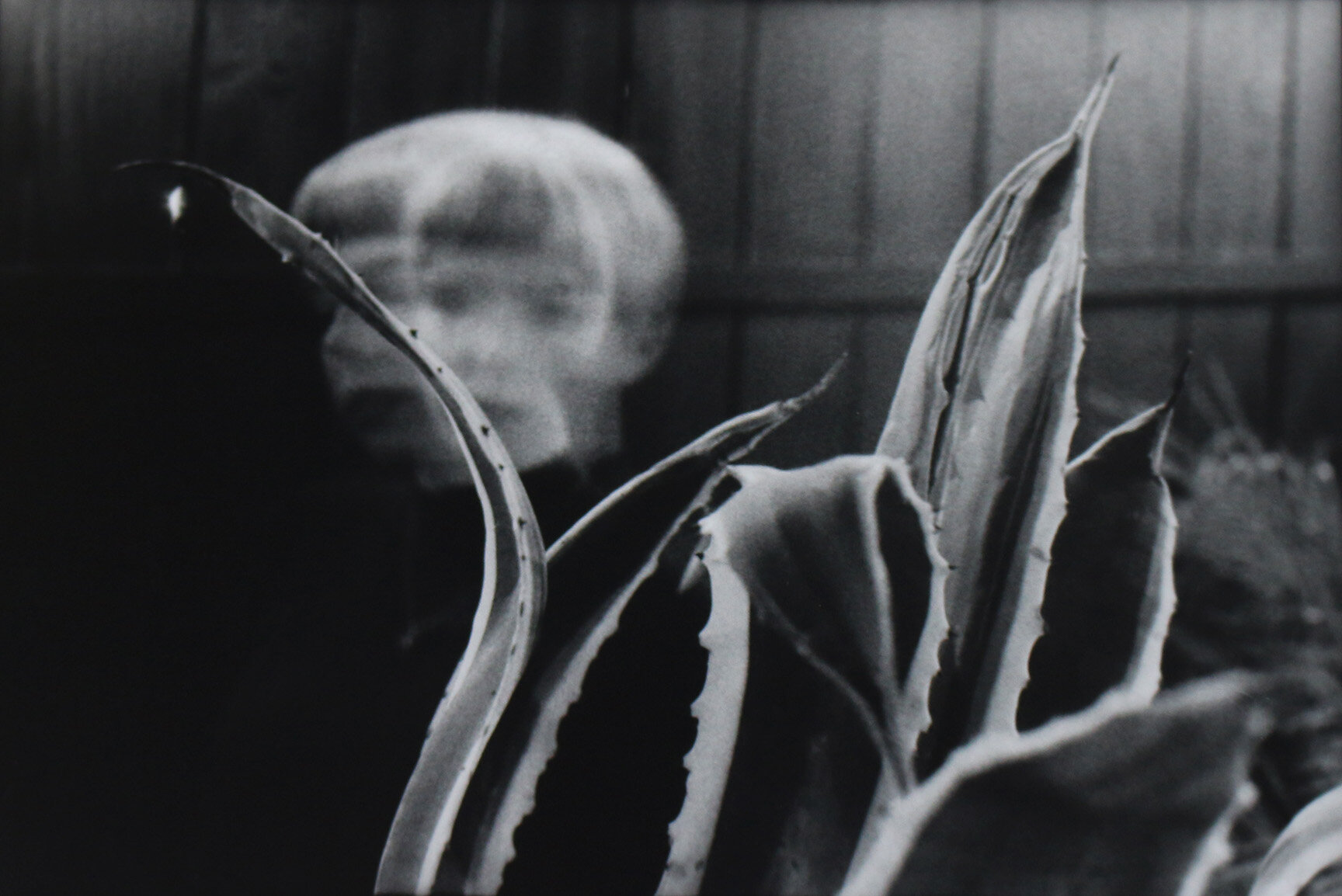 Self Portrait, gelatin silver print, 2018.