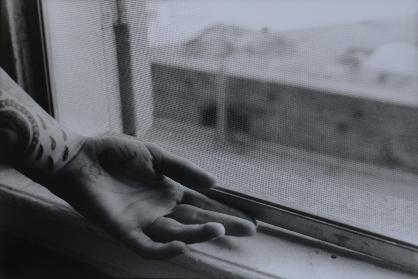 Tender, gelatin silver print, 2018.