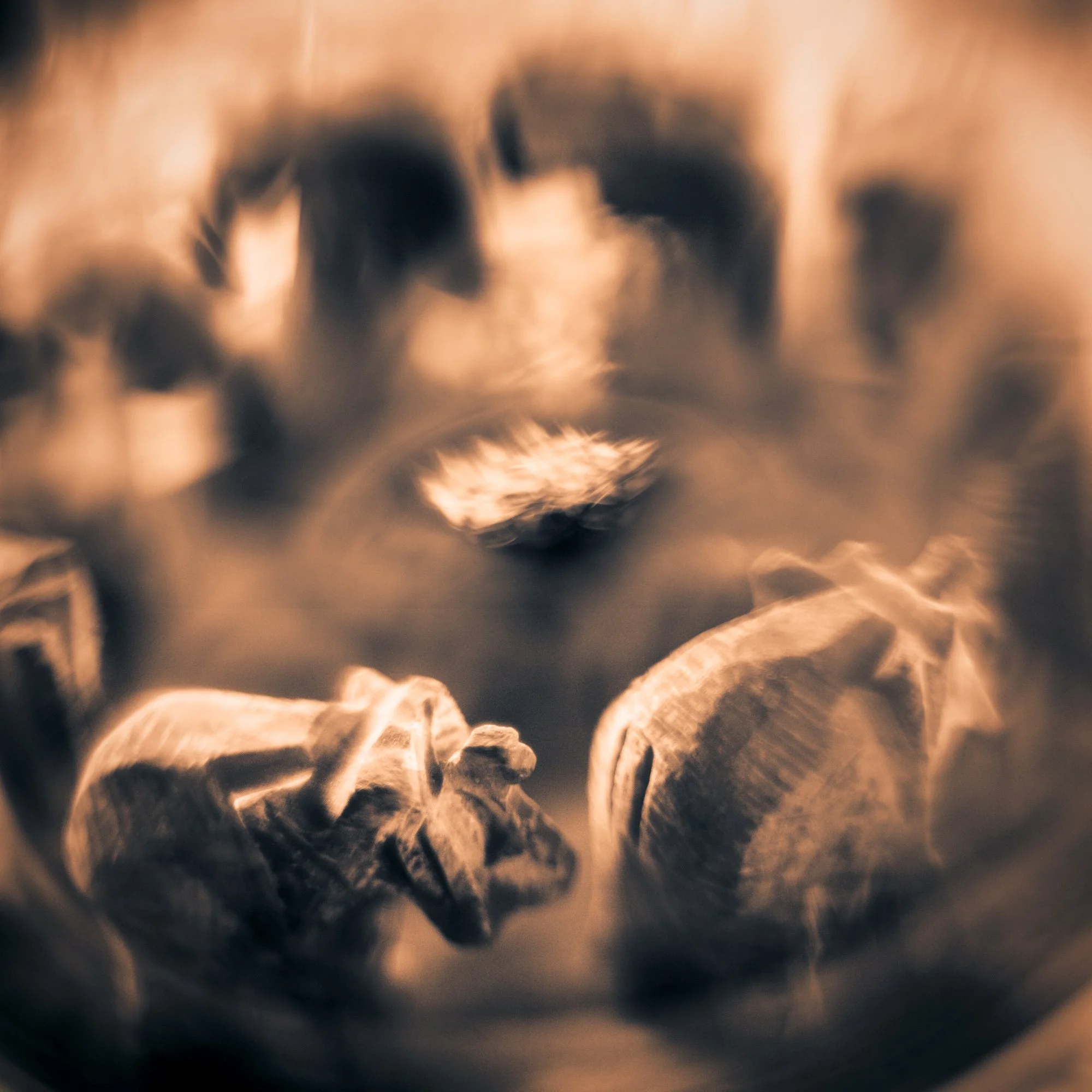 Gallery-Original-Elephants-aMRH1.jpg