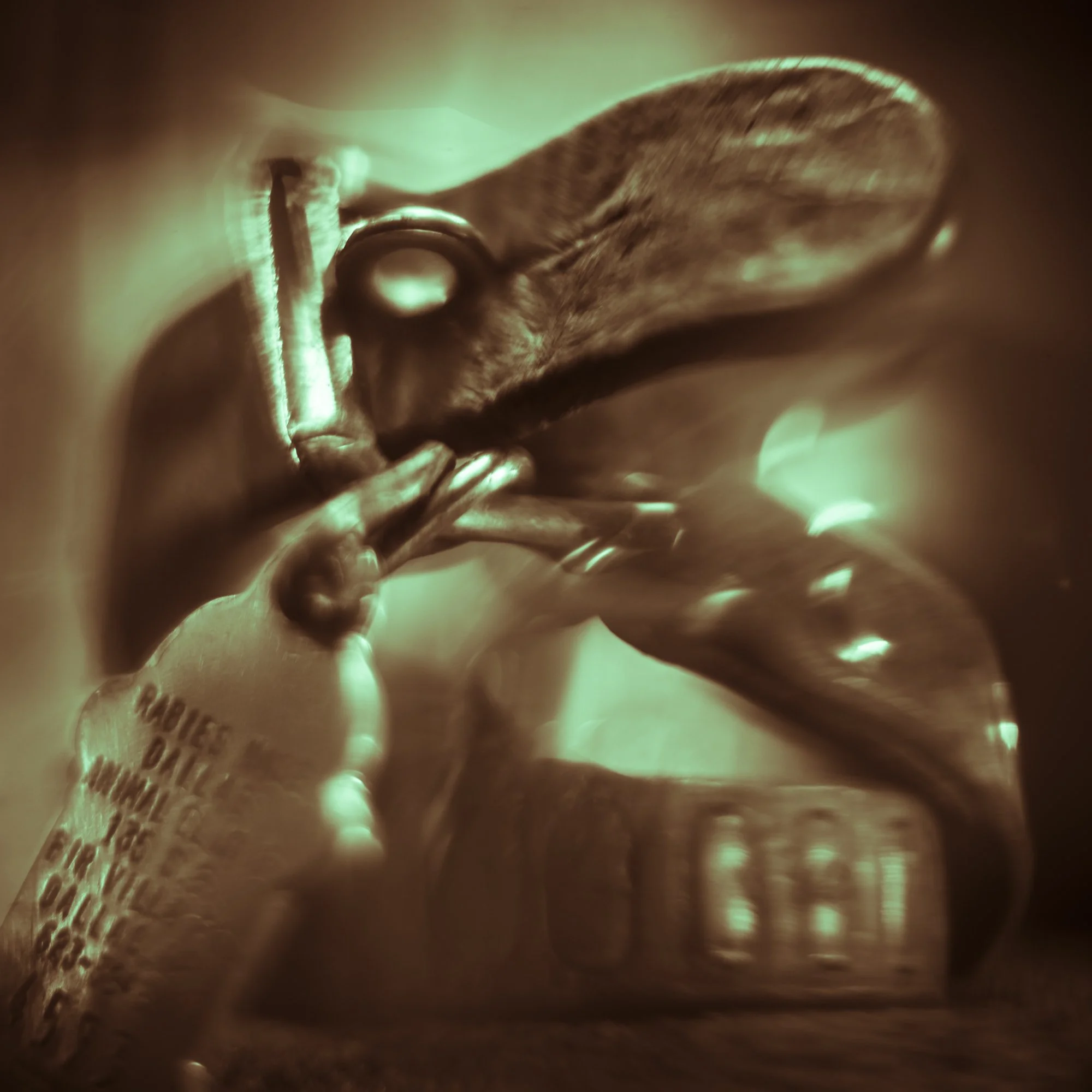 A dog collar with green highlights photographed by Mark Robert Halper.