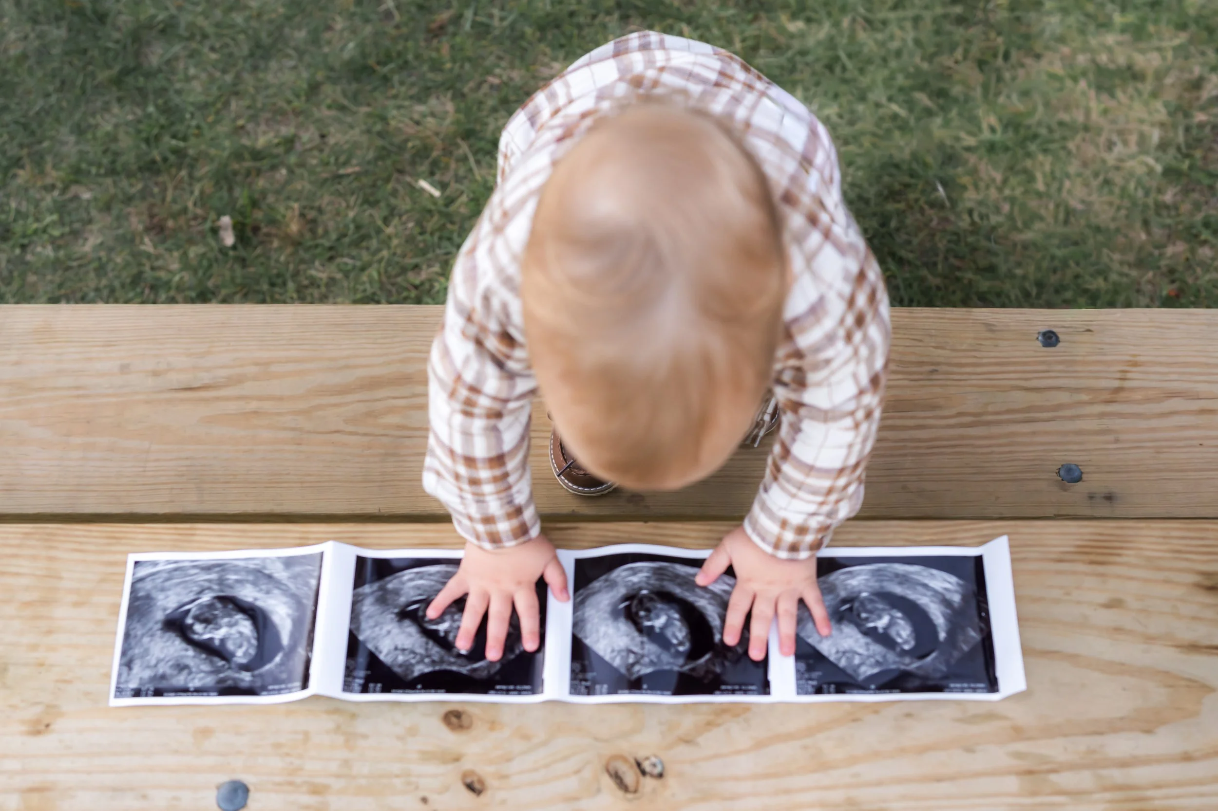 Newborn, Maternity, and Family Photography-Lauren Frye Photography-Park Ridge, Glenview, Northbrook, Mount Prospect, Arlington Heights, Chicago and Chicago Suburbs Wilmette, Winnetka, Kennilworth, Edison Park
