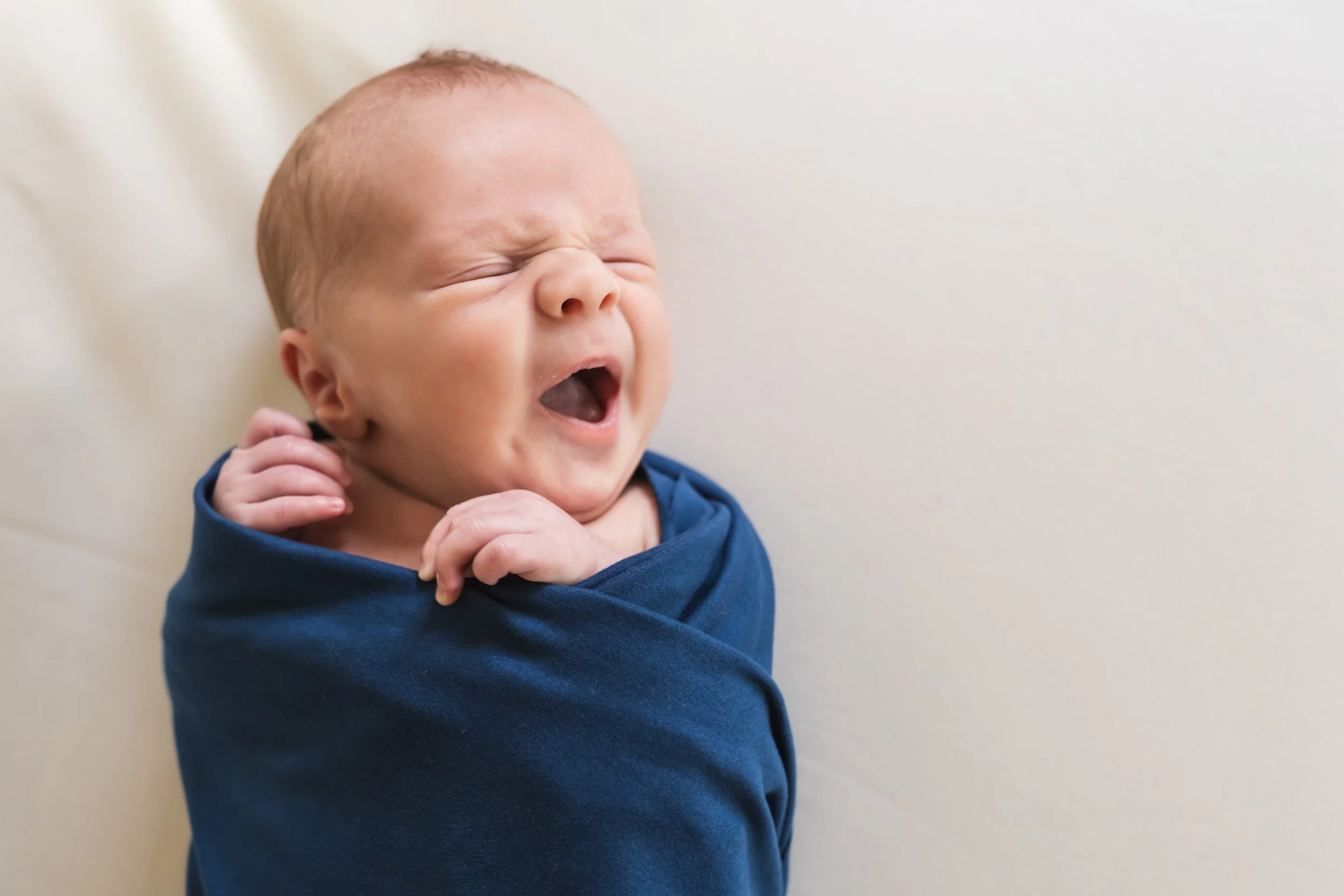 Newborn and Family Photography-Lauren Frye Photography-Park Ridge, Glenview, Northbrook, Mount Prospect, Arlington Heights, Chicago and Chicago Suburbs Wilmette, Winnetka, Kennilworth, Edison Park
