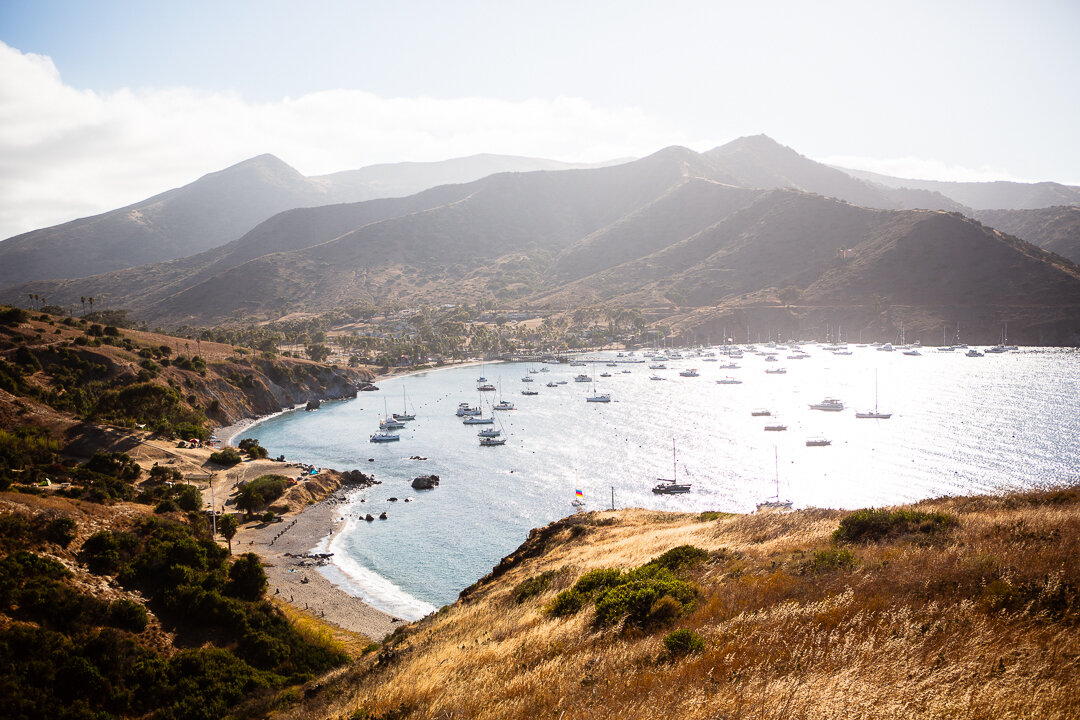 Just another amazing hike on Catalina.

#catalina #catalinaisland #sailalchemy #sailinglifestyle #californiacoast #sailingtrip #oceanlife #sailingadventure #sailing #californiaadventure #discoverla #californiadreaming #sailinglife