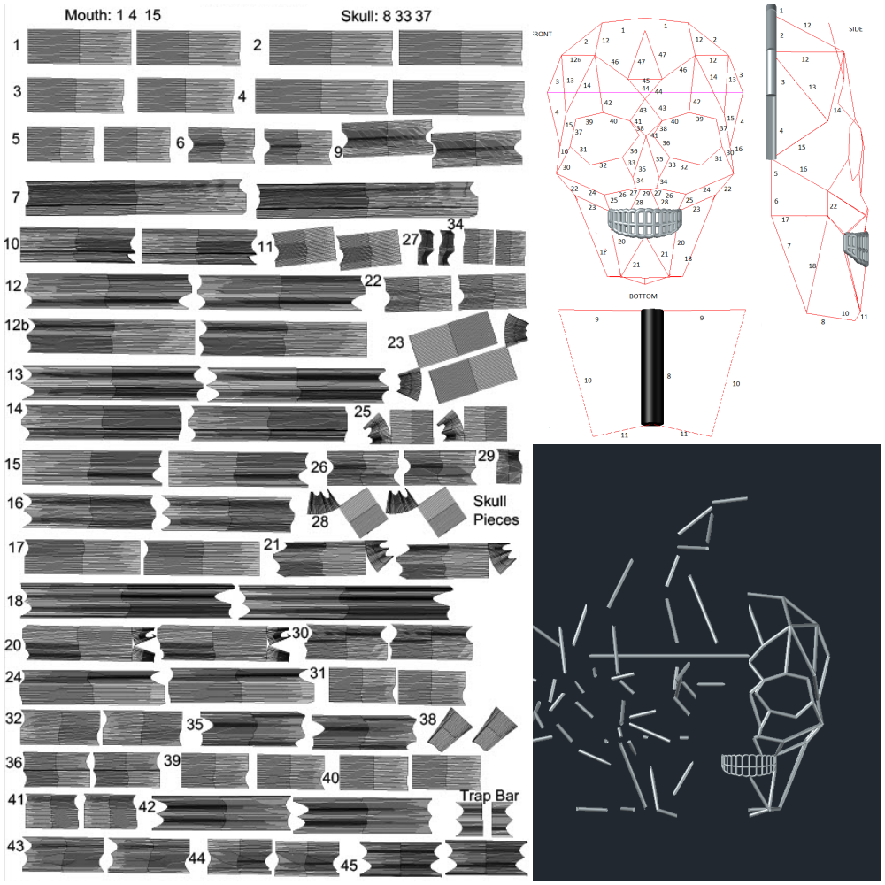 collage.png
