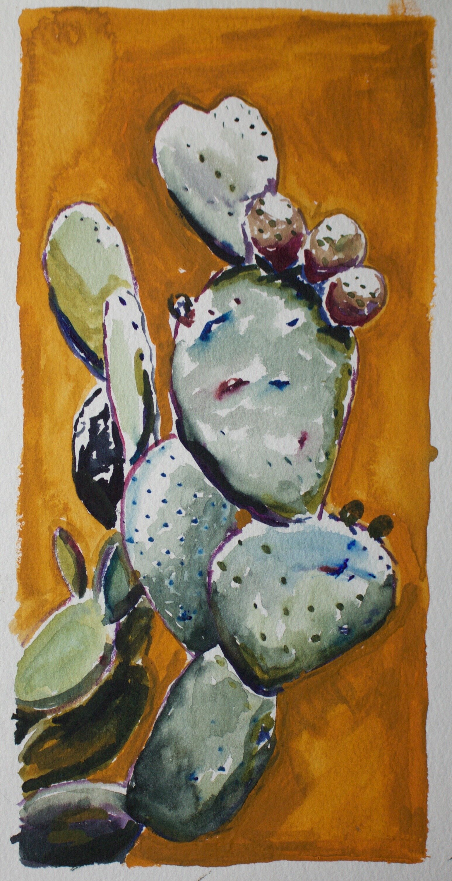 cactus 2019. 12x8in. watercolor on paper. 2019. $200.jpg