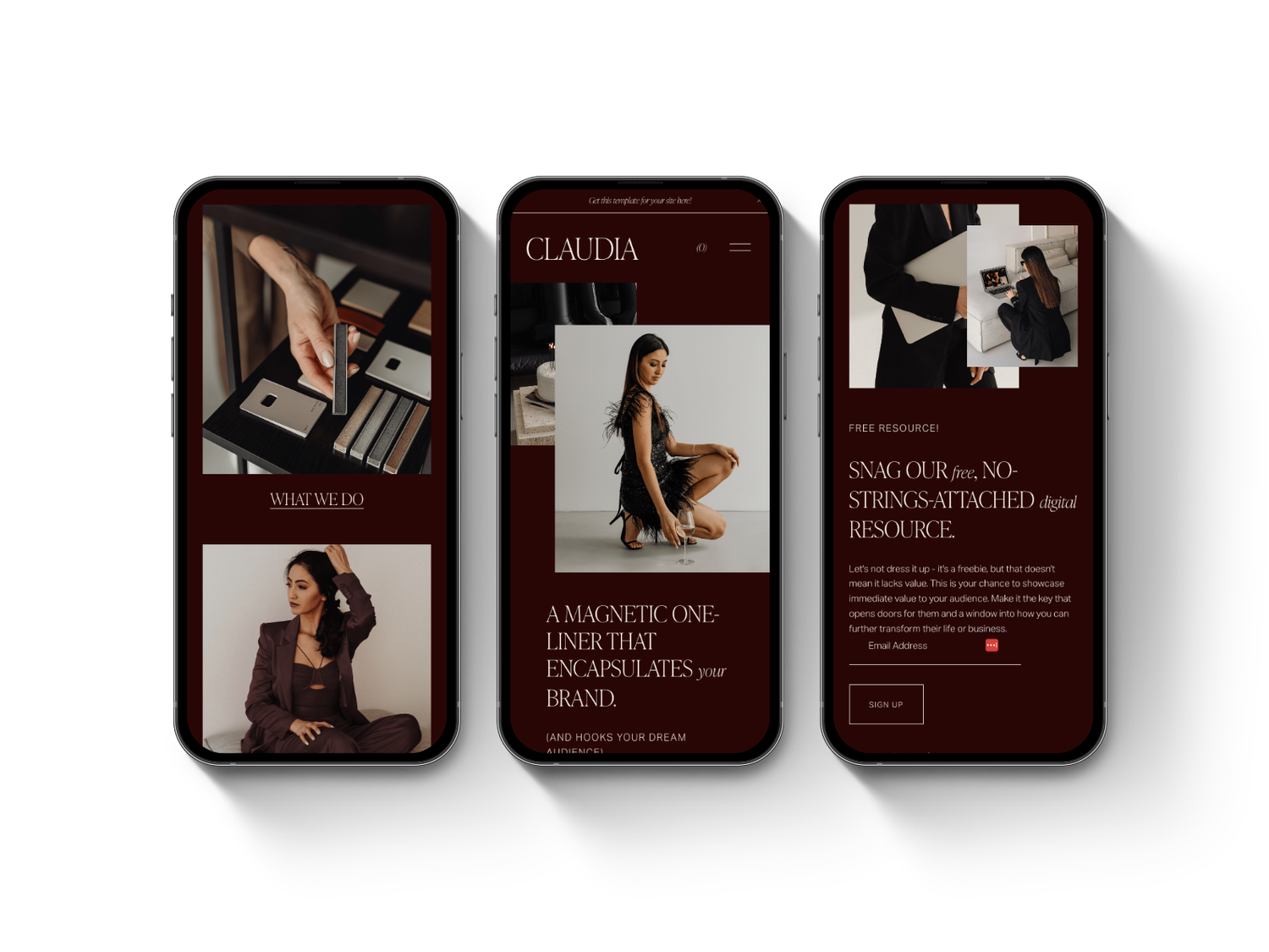 Claudia Squarespace Template Preview