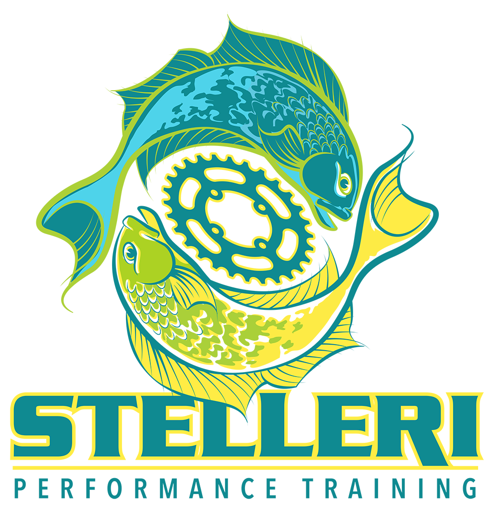 Stelleri Performance Training