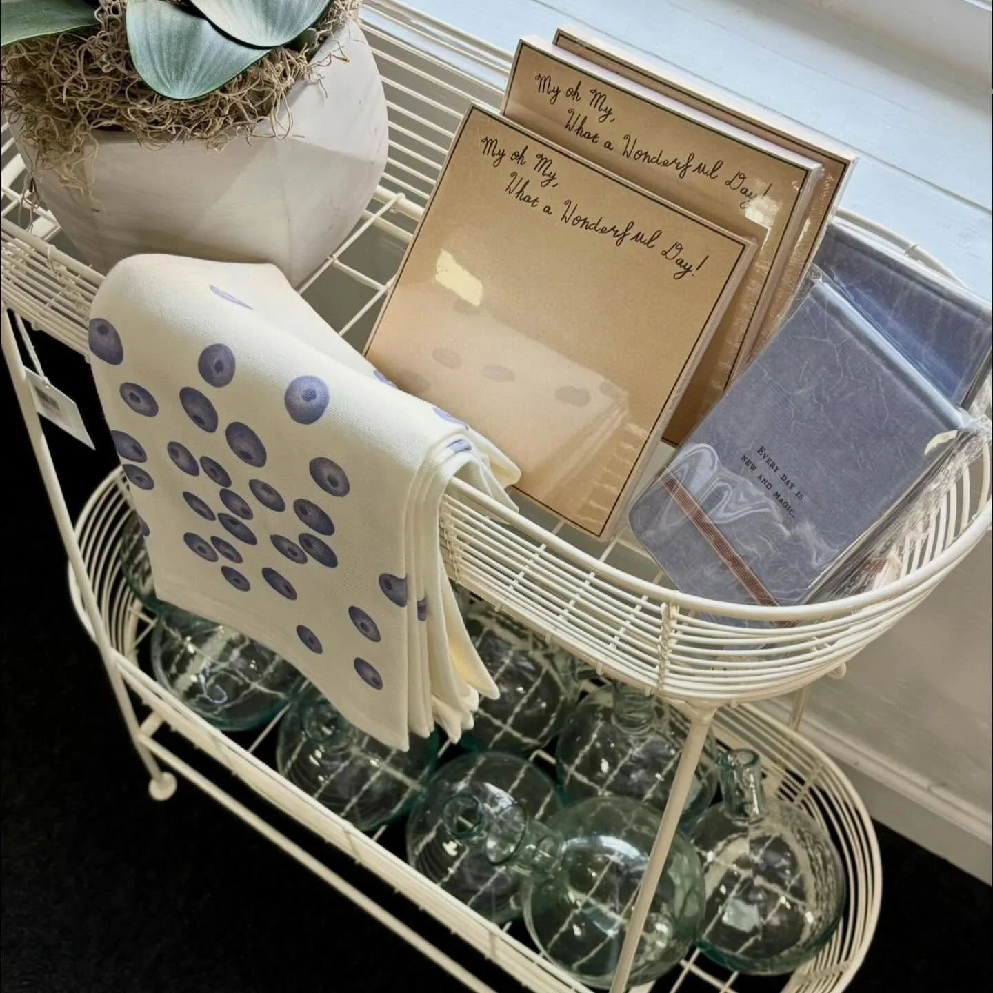 Happy sunny Wednesday!