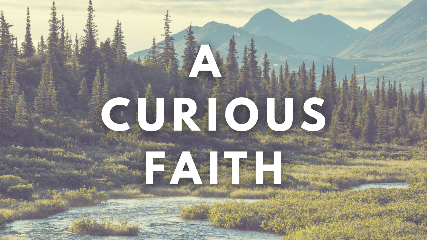 A Curious Faith - Week 2 -              "What Are You Doing Here?" episode artwork
