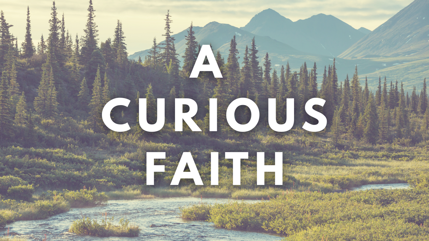 A Curious Faith - "Do you want to get well?" episode artwork