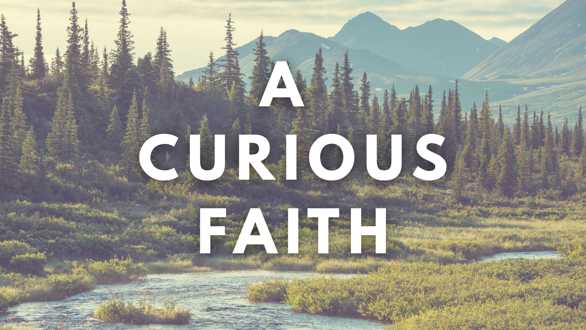 A Curious Faith - "What are you looking for?"