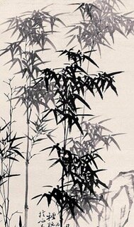 IMG_0485.jpeg