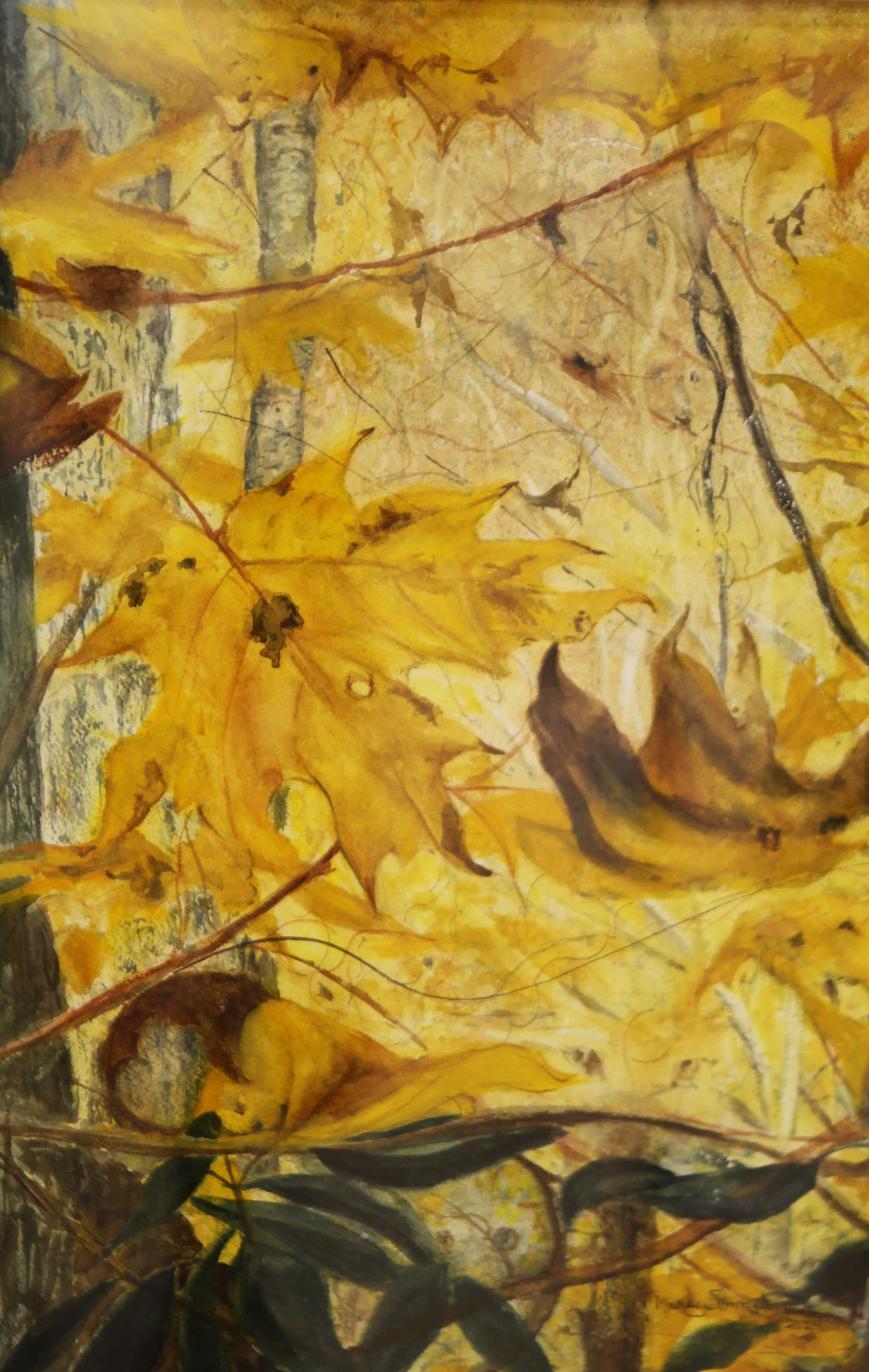 Hidden Faces by Marcy Springett