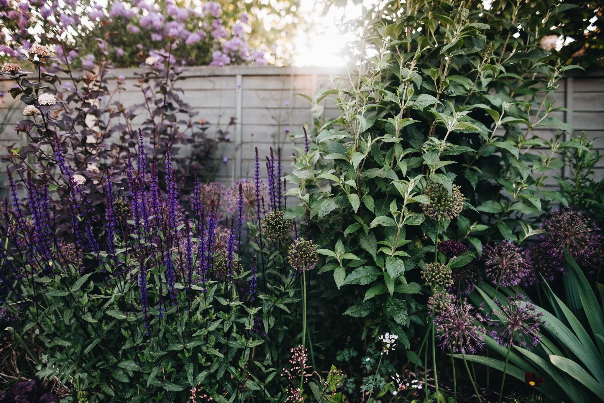 WEB RESOLUTION (SOCIAL MEDIA)-78.jpg