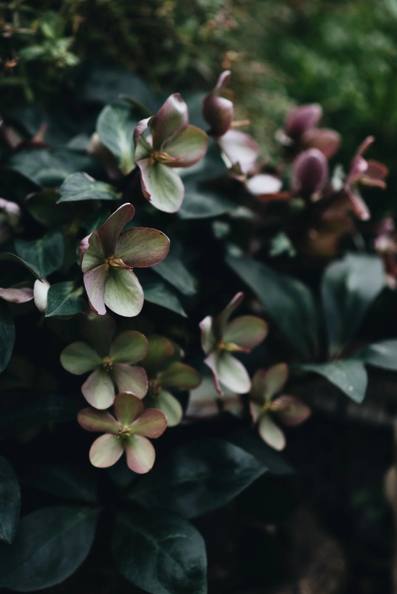 Feb 2022 WEB RES-58.jpg