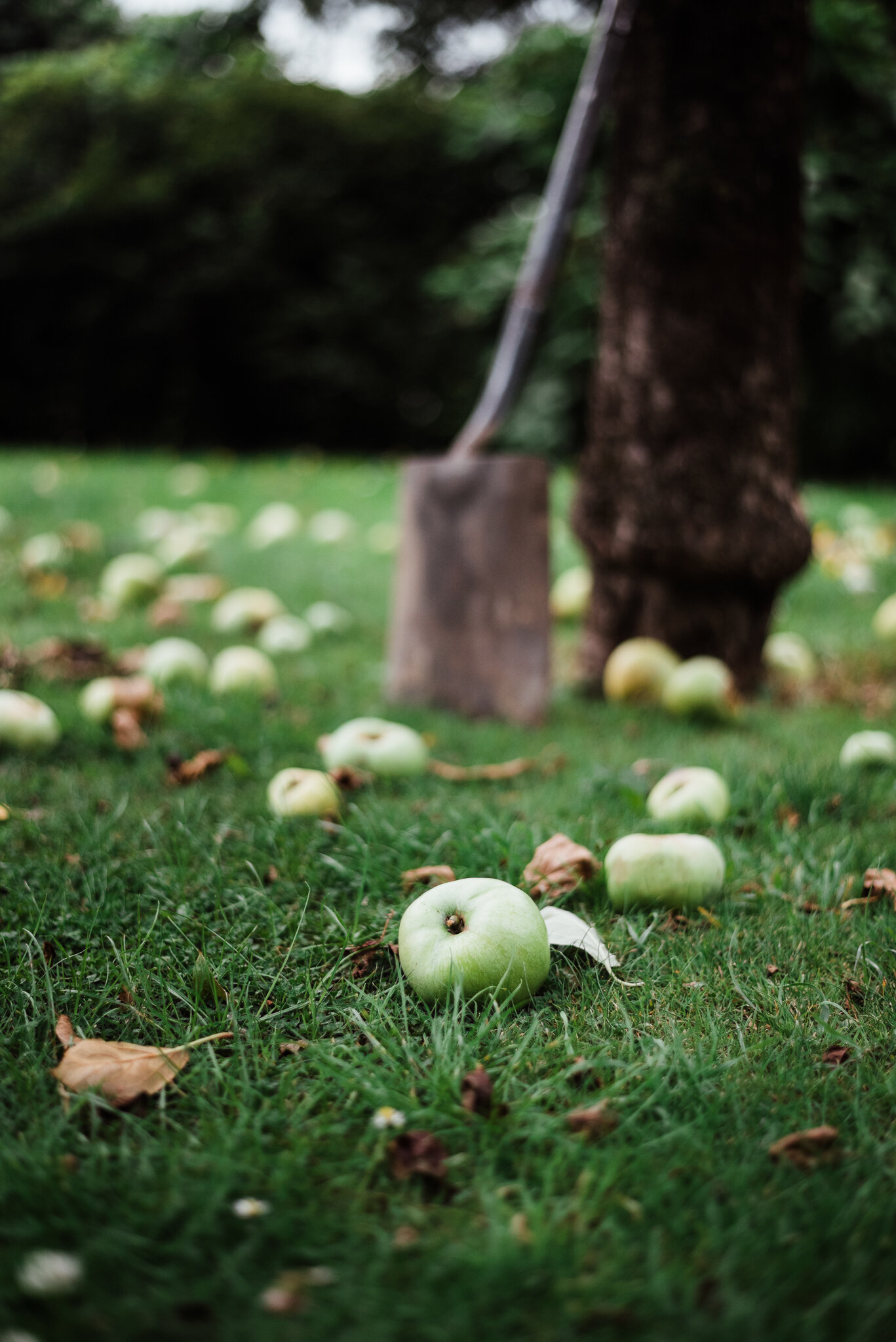 eloise layla nurse garden photographer-1-2.jpg