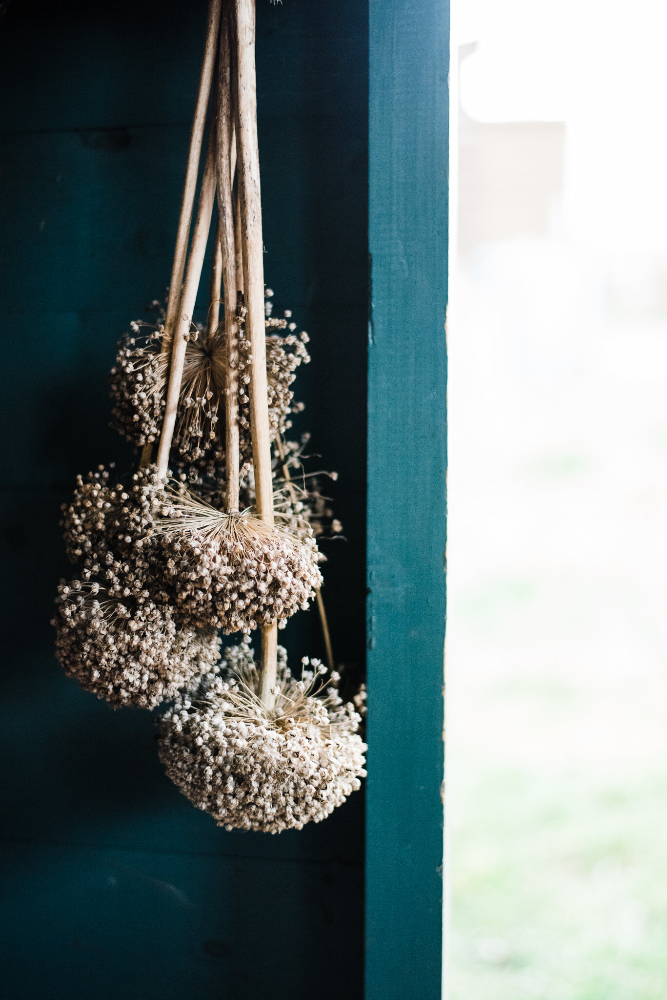 ella nurse food photographer allotment-17.jpg