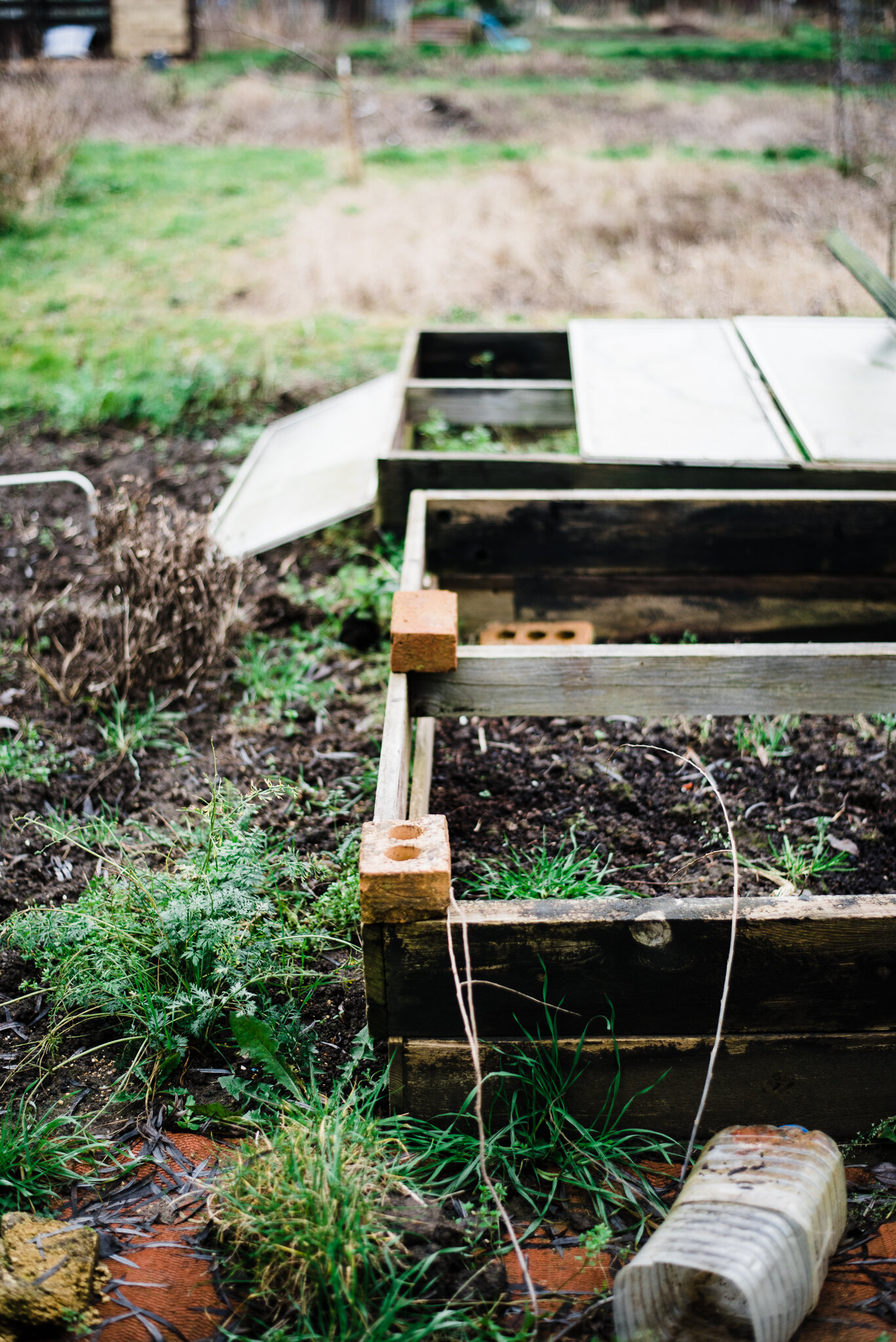 ella nurse food photographer allotment-20.jpg