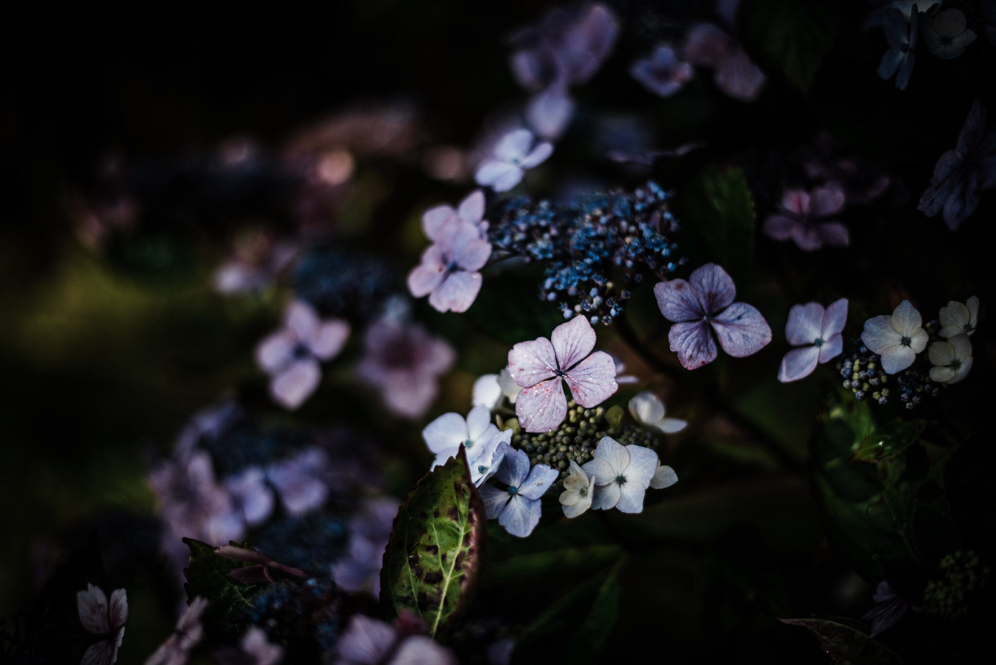 ella nurse lifestyle photographer cornwall-28.jpg