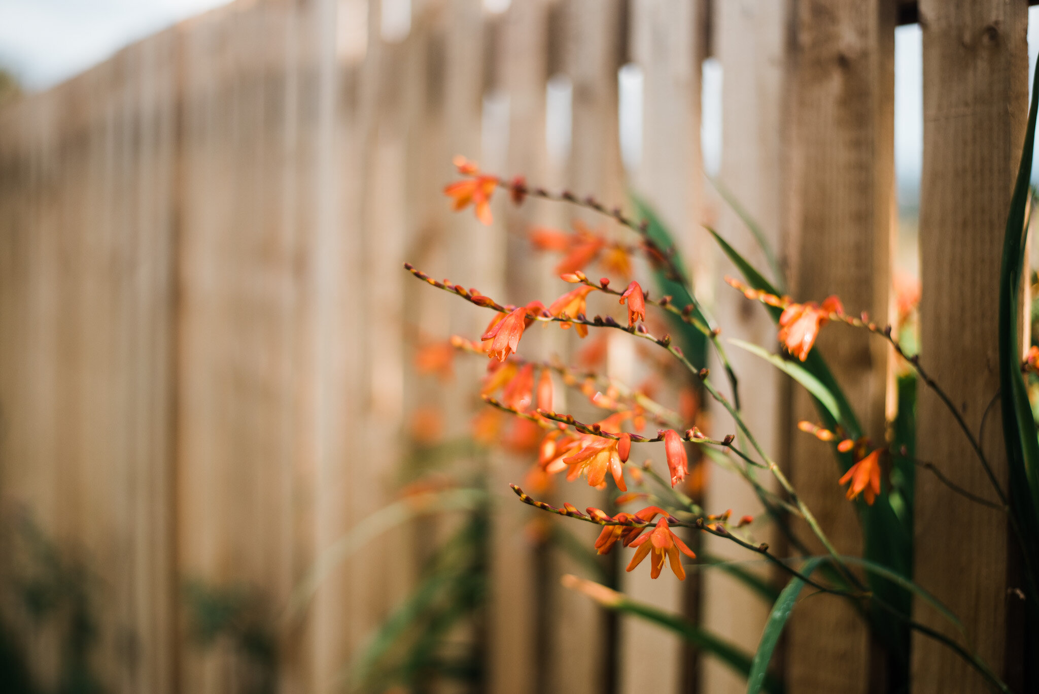 ella nurse lifestyle photographer cornwall-24.jpg