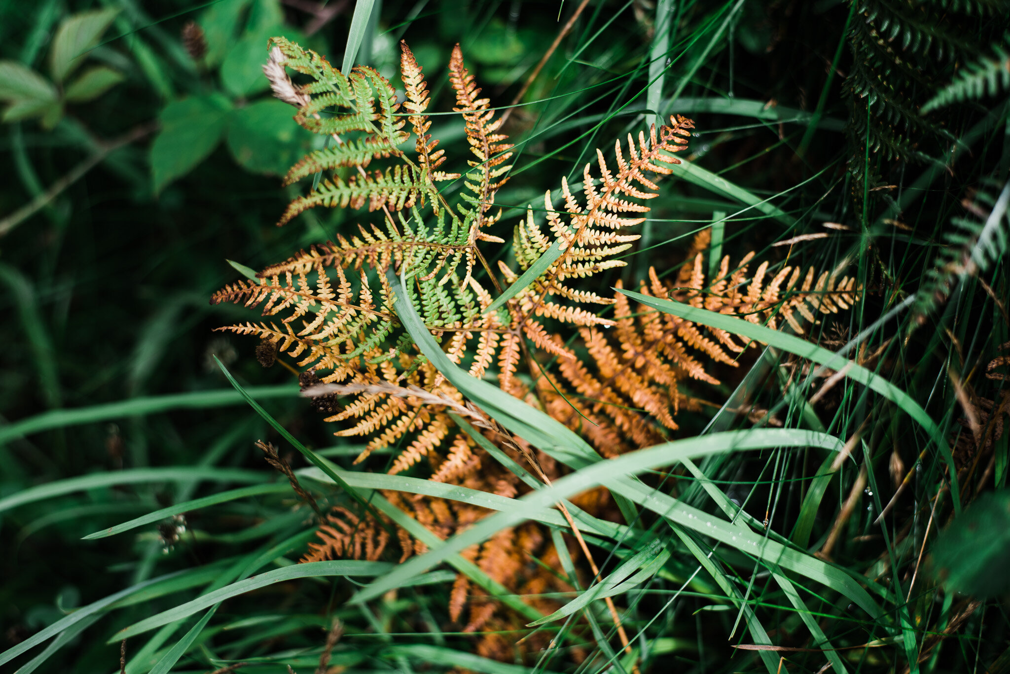 ella nurse lifestyle photographer cornwall-54.jpg