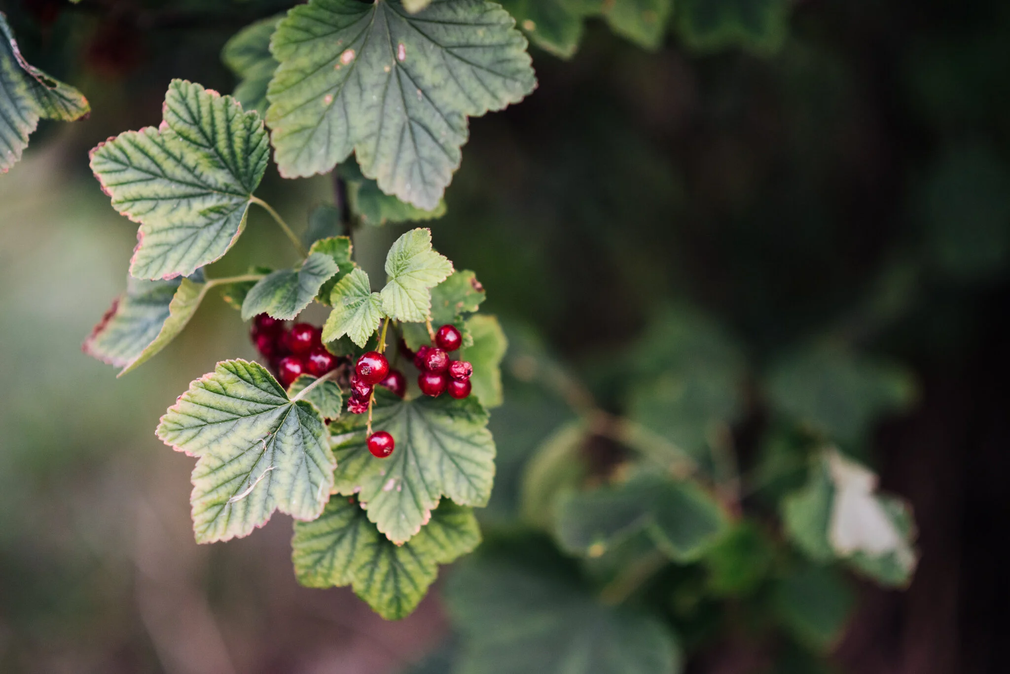 August WEB RES-40.jpg