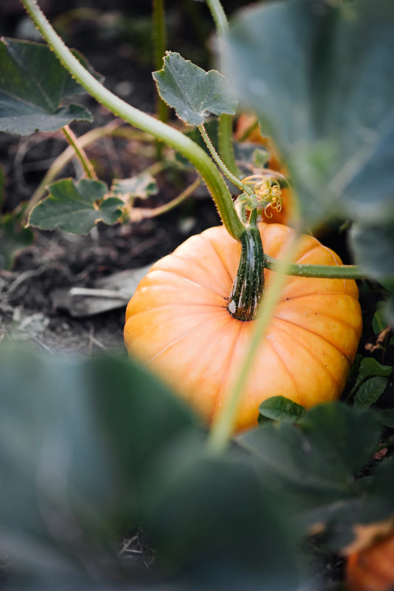 August WEB RES-28.jpg