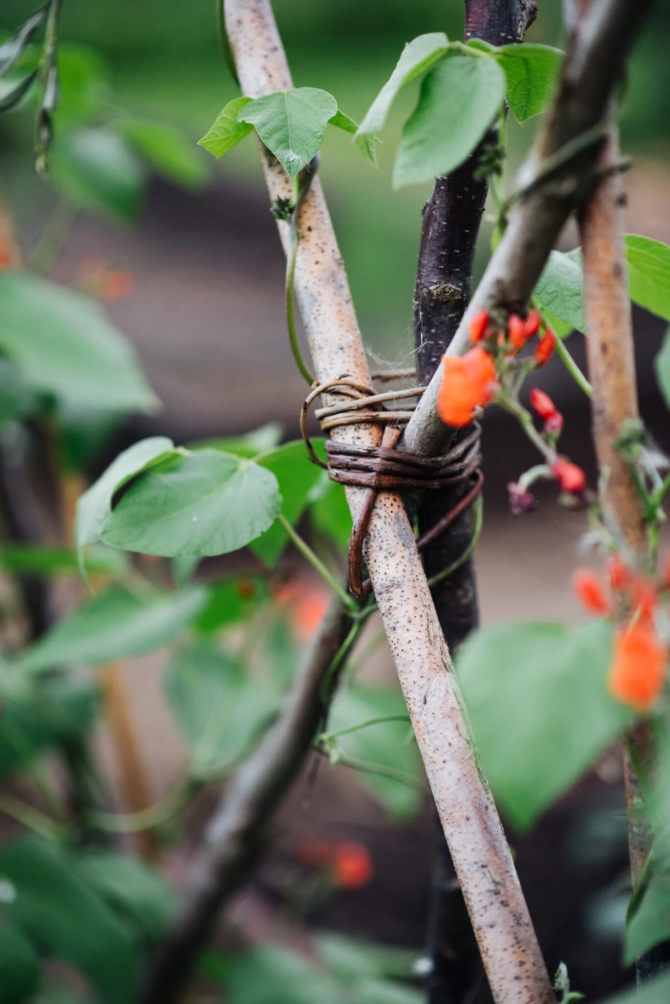 August WEB RES-50.jpg