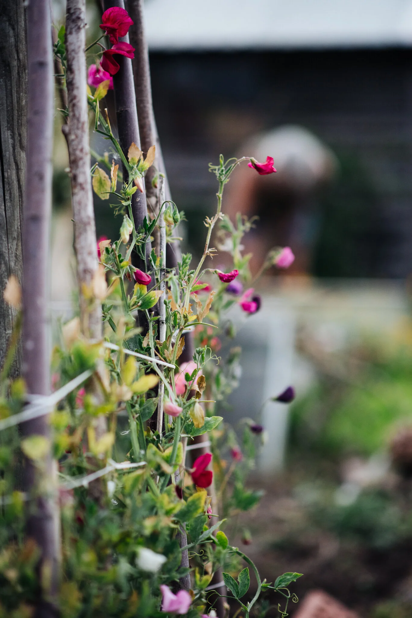 August WEB RES-57.jpg