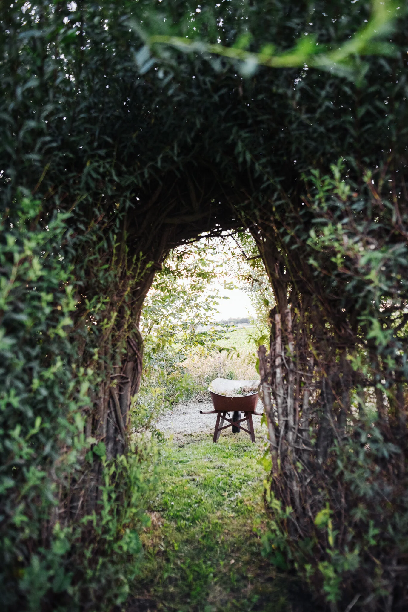 August WEB RES-35.jpg