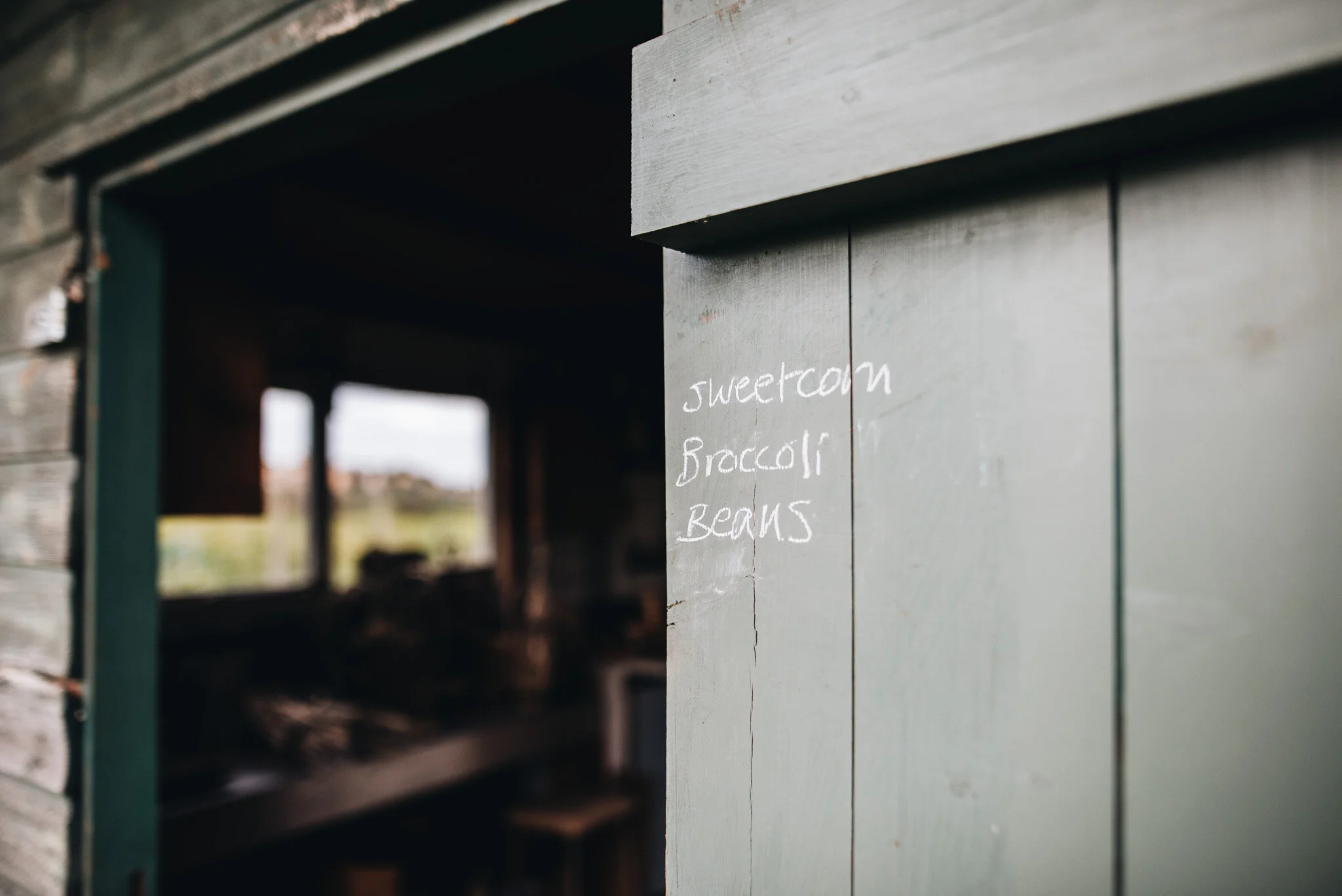 sept allotment-13.jpg