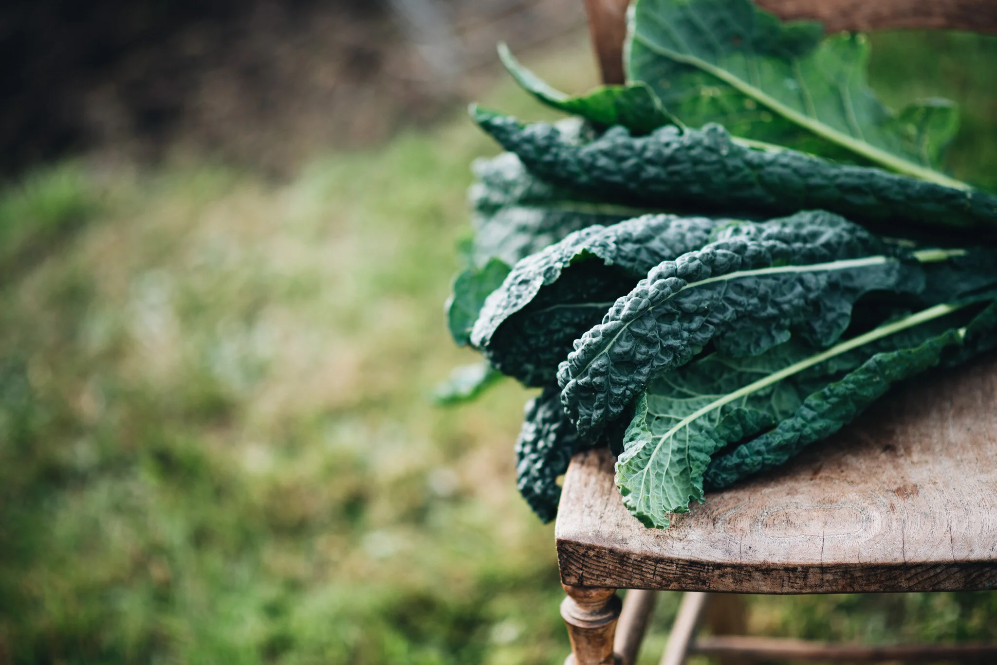 sept allotment-15.jpg