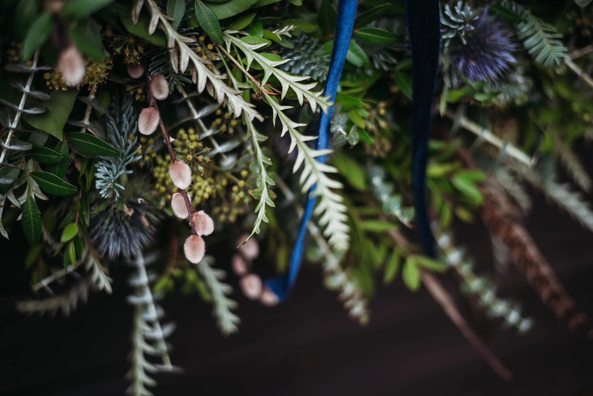 sparrow and spear-2.jpg