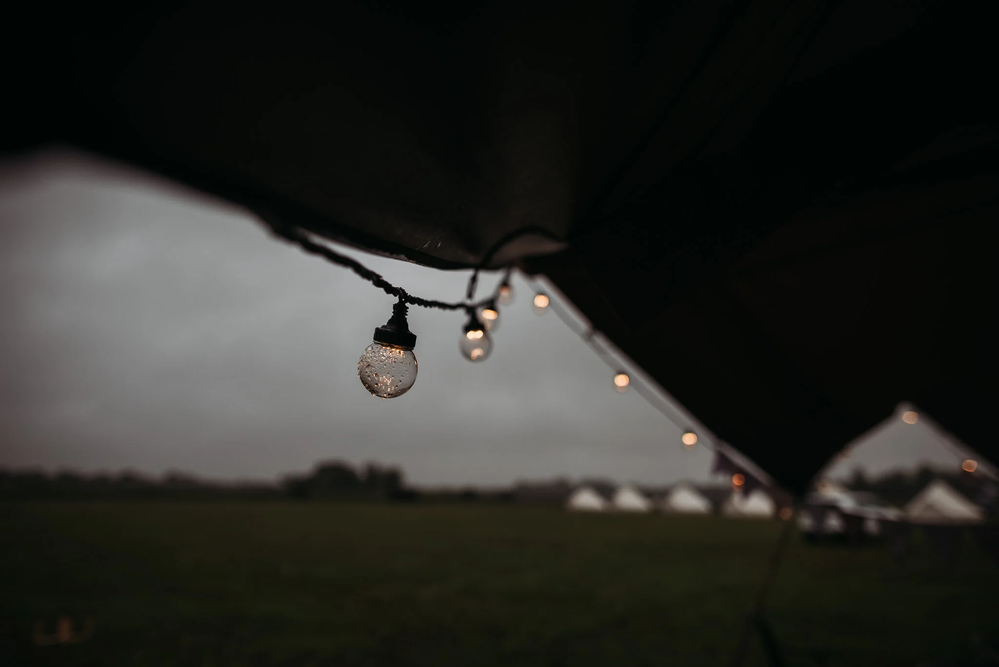 rainy lights-1.jpg