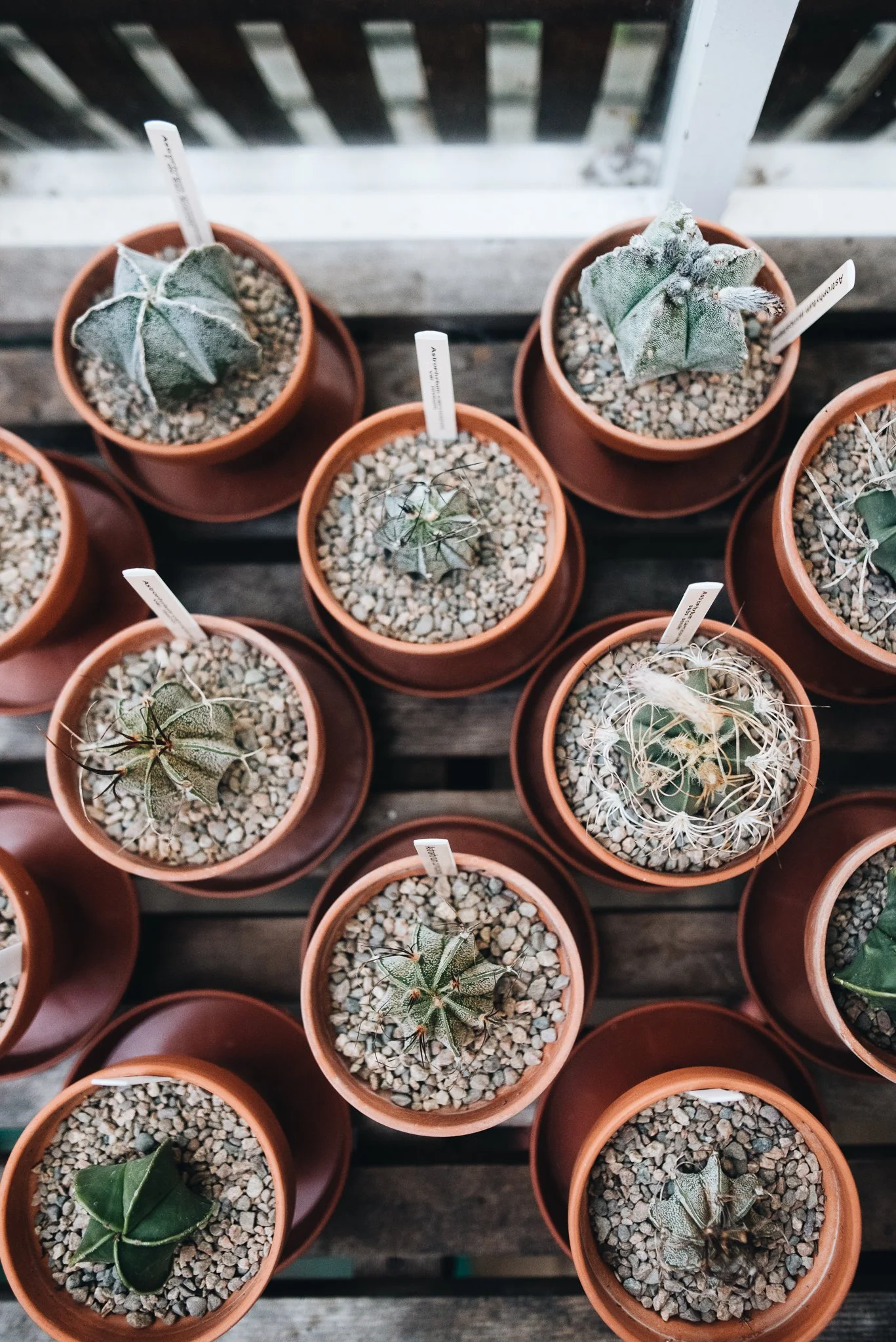 WEB RESOLUTION (SOCIAL MEDIA)-53.jpg