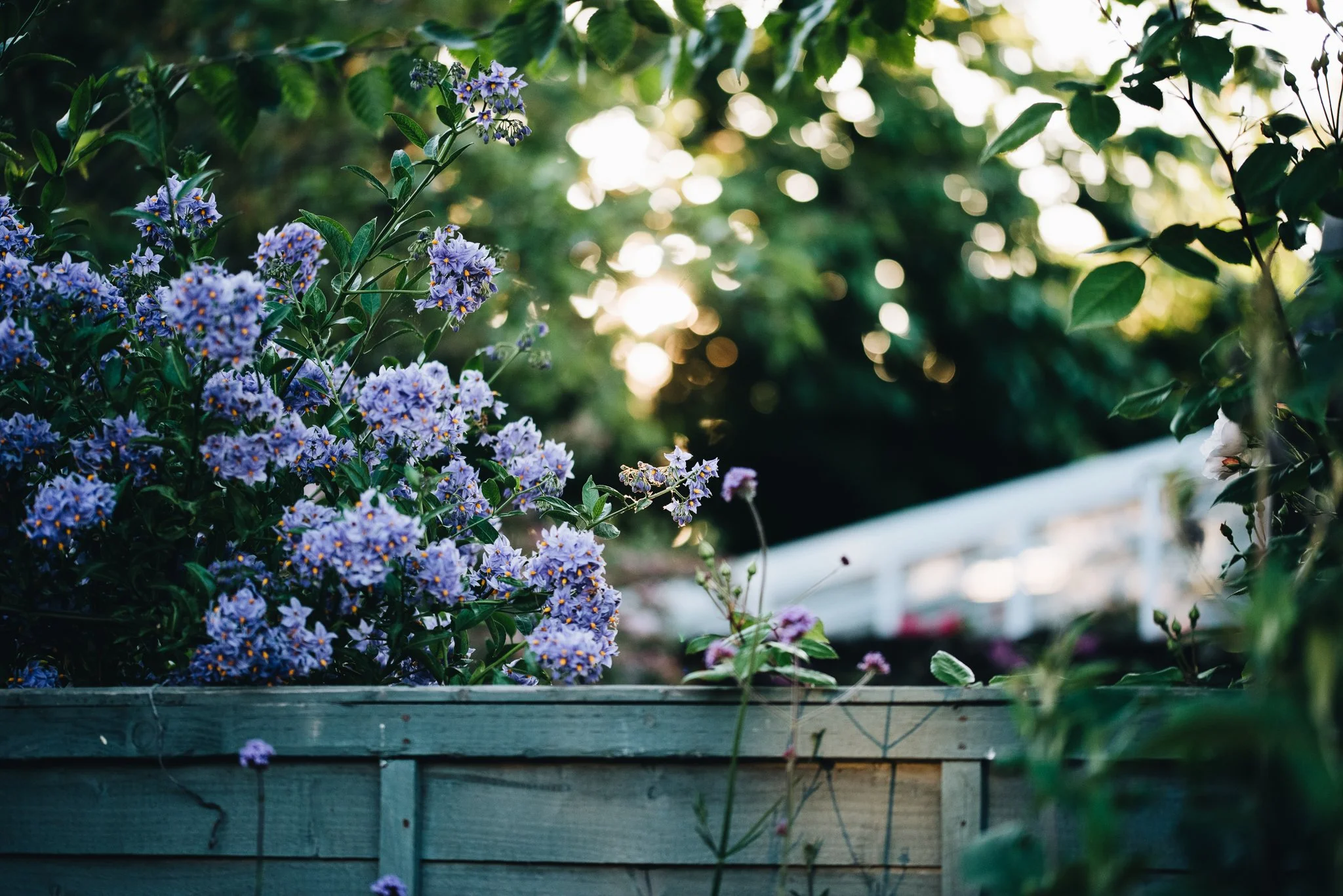 WEB RESOLUTION (SOCIAL MEDIA)-98.jpg