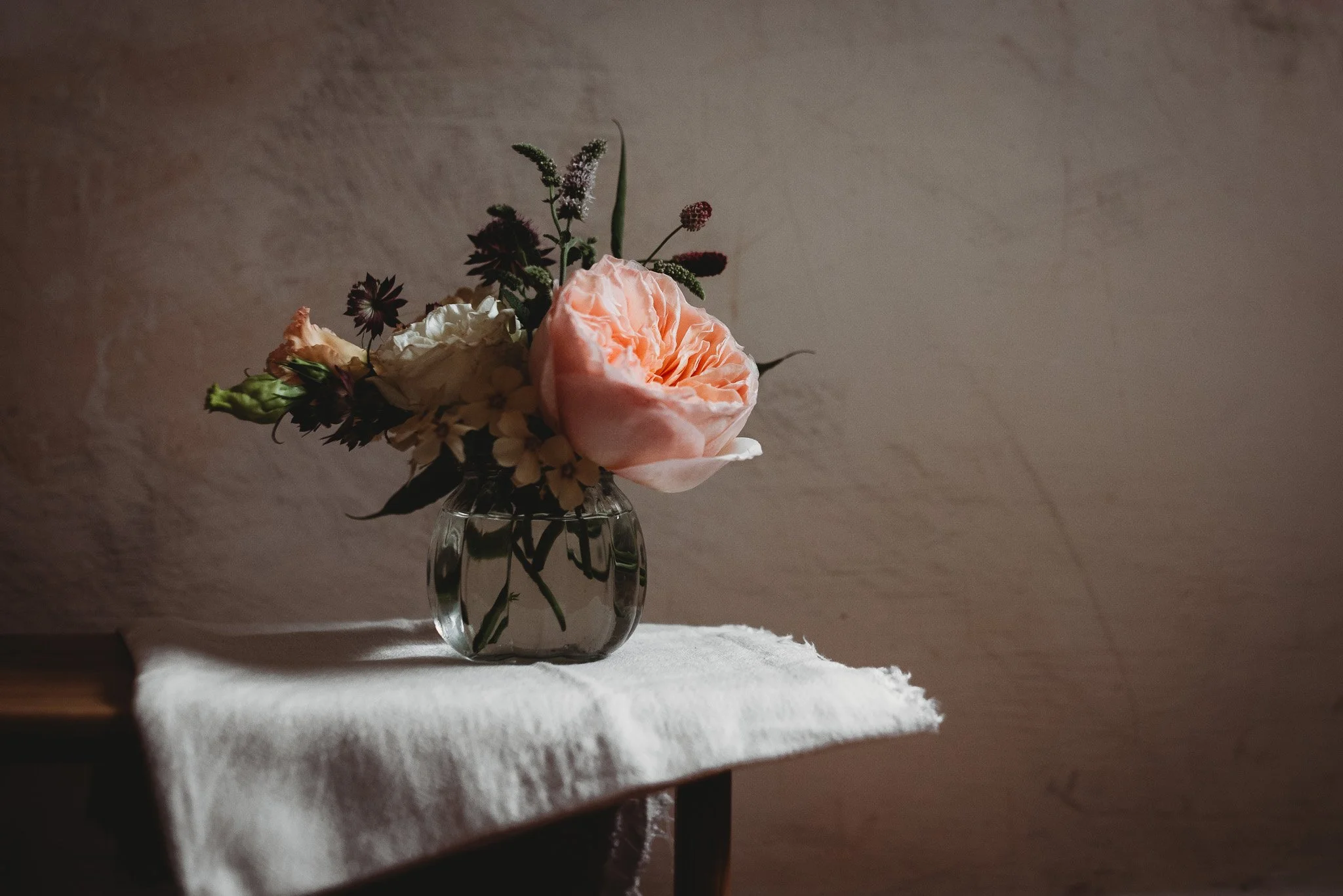 wild sorrel eloise layla nurse-3.jpg