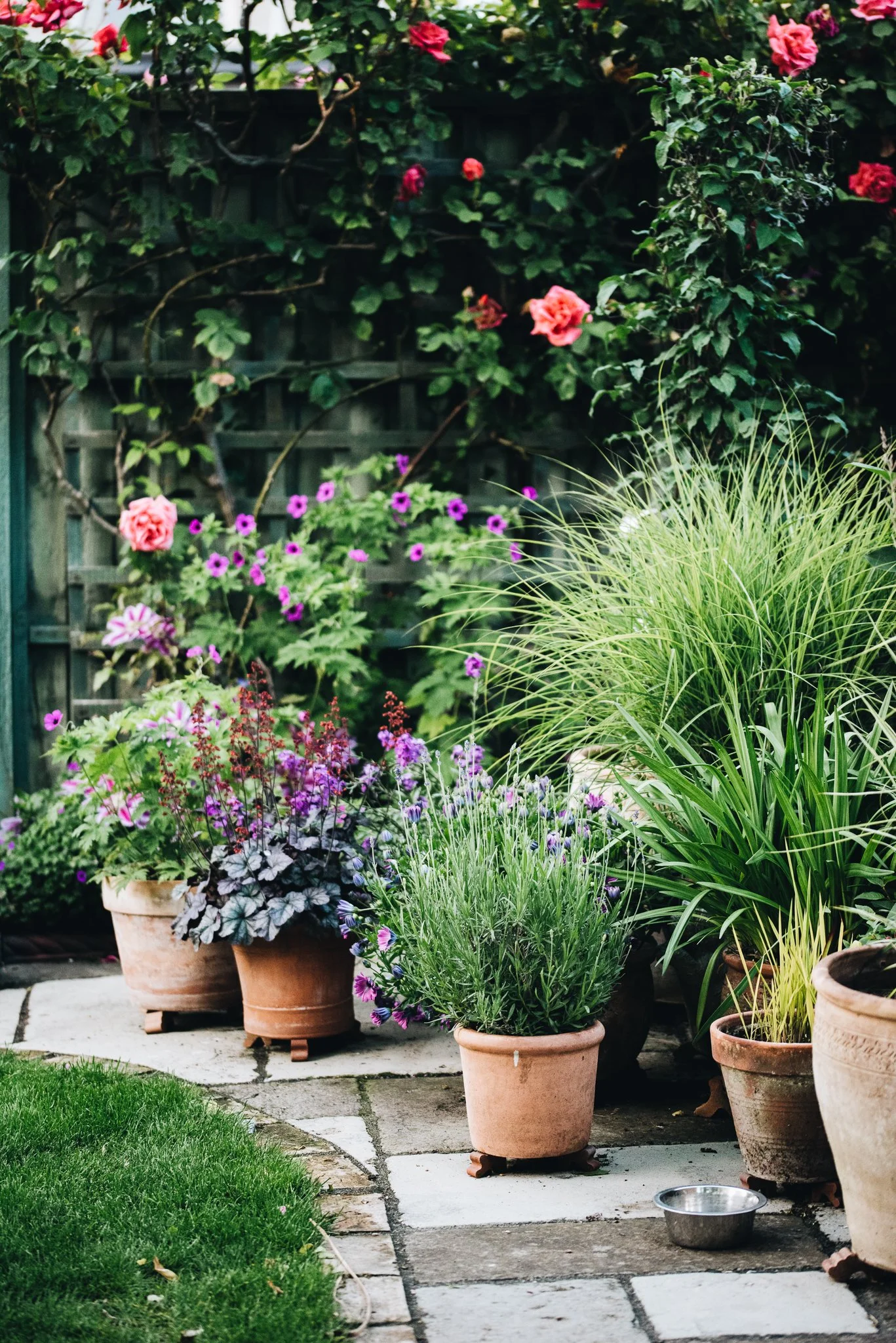 WEB RESOLUTION (SOCIAL MEDIA)-117.jpg