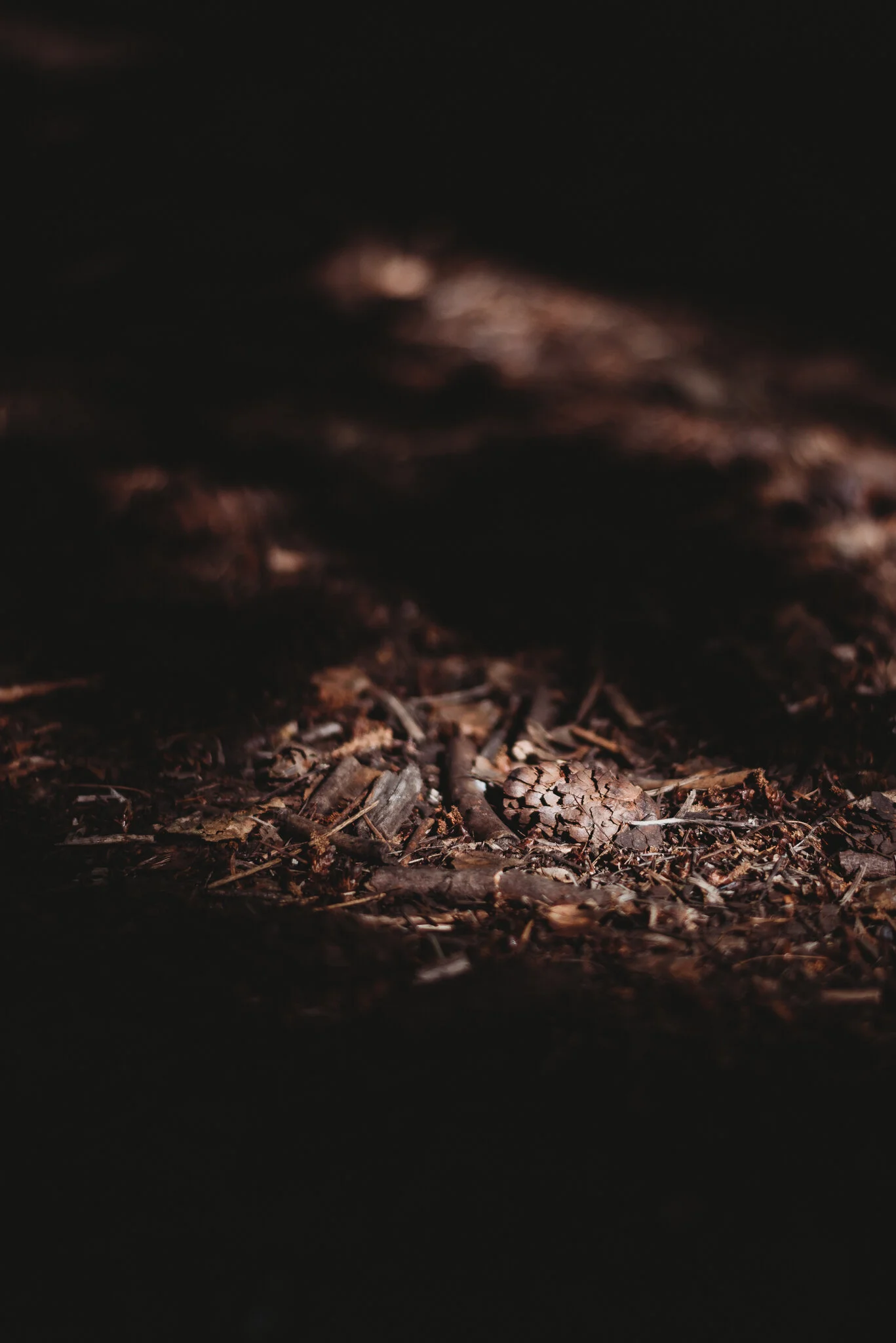 eloise layla nurse garden photographer-1-7.jpg