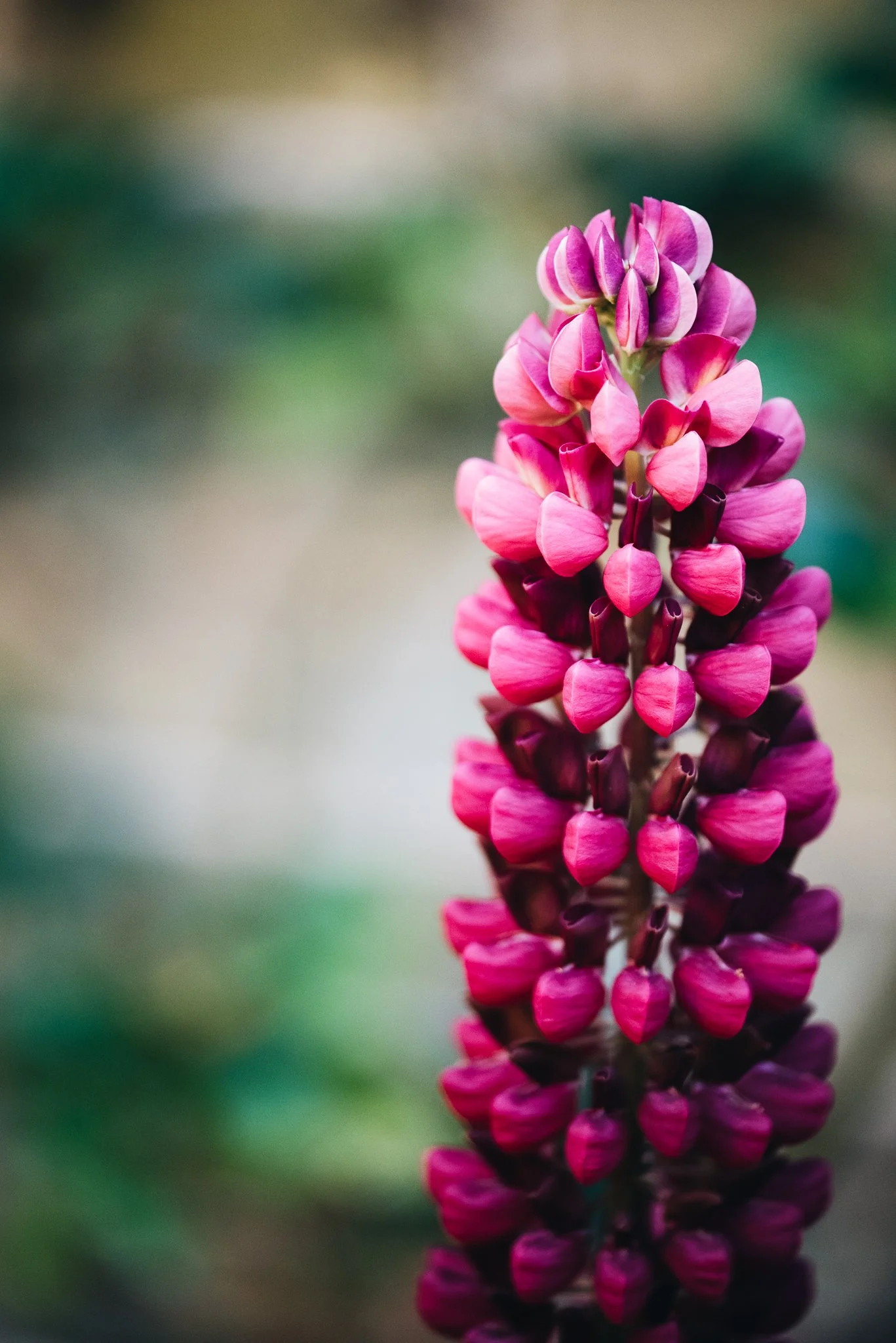 WEB RESOLUTION (SOCIAL MEDIA)-13.jpg